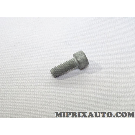 Vis fixation element leve vitre revetement interieur Renault Dacia original OEM 7703009253 