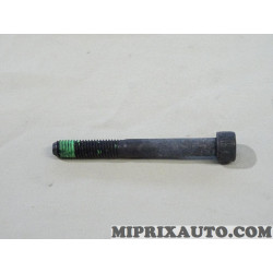 Vis etrier de frein Volkswagen Audi Seat Skoda original OEM&nbsp;2E0698295 