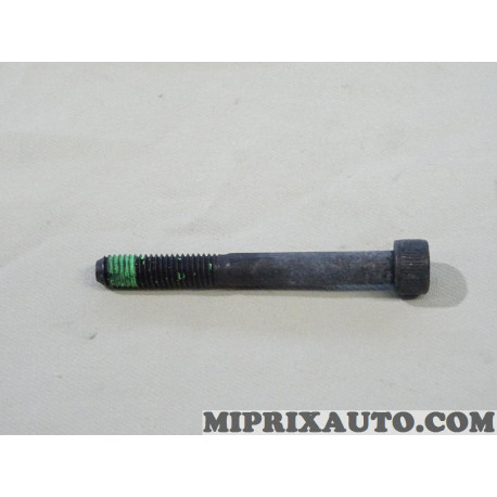 Vis etrier de frein Volkswagen Audi Seat Skoda original OEM&nbsp;2E0698295 