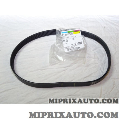1 Courroie accessoire 6PK842 Volkswagen Audi Seat Skoda original OEM 03L903137B 