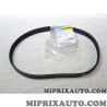 1 Courroie accessoire 6PK842 Volkswagen Audi Seat Skoda original OEM 03L903137B