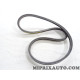Courroie alternateur Toyota Lexus original OEM 99332-11205-8P 99332112058P