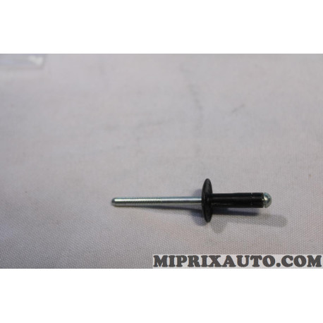 Rivet pop fixation usage divers Ford original OEM 7077191 