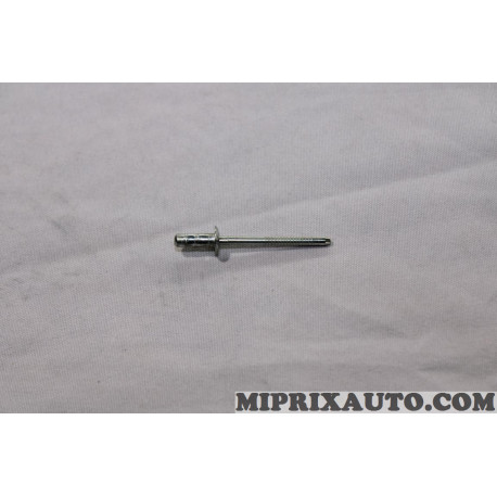 Rivet pop fixation usage divers Ford original OEM 1237076 