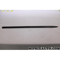 Baguette moulure de porte Ford original OEM 1096110 YS61-A20938-BBYYD9 