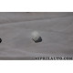 Agrafe attache clip fixation Ford original OEM 1450985
