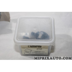 Kit agrafes attache fixation hayon de coffre Restagraf Ford original OEM KA09HAY15137 pour ford ka 2 II 