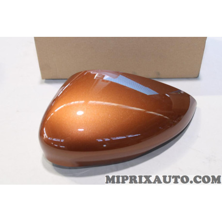 Coque calotte de retroviseur Ford original OEM 1790402 8A6117K747BE5DXQ 