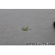 Agrafe attache clip fixation Ford original OEM 1075310 