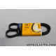 Courroie accessoire 5PK1135 Continental Ford original OEM 5PK1135 