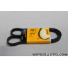 Courroie accessoire 5PK1135 Continental Ford original OEM 5PK1135