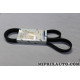 Courroie accessoire 6PK1430 Ford original OEM 1040754 97WF6C301AA