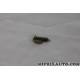 Vis fixation bobine allumage Ford original OEM 1034620