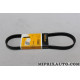 Courroie accessoire Continental Ford original OEM 6PK800