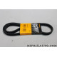 Courroie accessoire 6PK1195 Continental Ford original OEM 6DPK1195