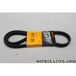 Courroie accessoire 6PK1195 Continental Ford original OEM 6DPK1195 
