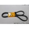 Courroie accessoire 6PK1817 Continental Ford original OEM 6DPK1817