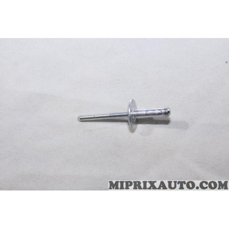 Rivet pop fixation Ford original OEM 1741028 W303929 