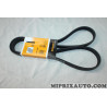 Courroie accessoire Continental Ford original OEM 6PK1660
