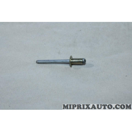 Rivet pop fixation usage divers Ford original OEM 1648628 