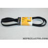 Courroie accessoire Contitech Ford original OEM 6PK1965