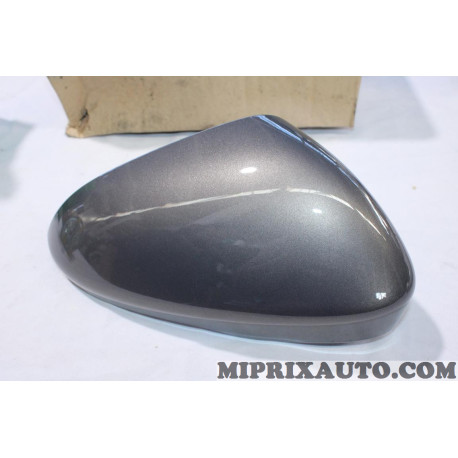 Coque calotte de retroviseur Ford original OEM 5324088 DS73-17D742-EA5AK5 