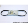Courroie accessoire Ford original OEM 6842244 93BB-6C301-CD