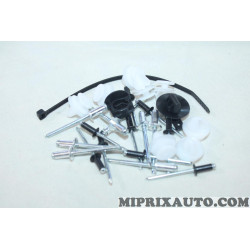 Pack agrafes attache de porte Restagraf Citroen Peugeot original OEM 6500 pour citroen C2 