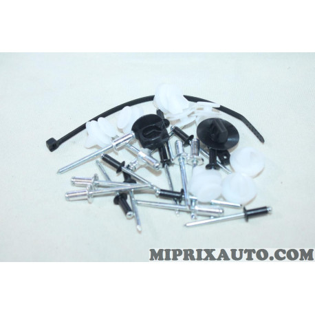 Pack agrafes attache de porte Restagraf Citroen Peugeot original OEM 6500 pour citroen C2 