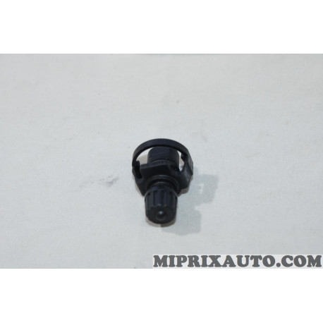 Valve vis de purge Ford original OEM 1791975 C1B1-8C362-AA 