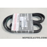 Courroie accessoire 5PK1745 Nissan Infiniti original OEM 117205DB0B 11720-5DB0B