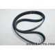 Courroie accessoire Nissan Infiniti original OEM 1172000Q6F 11720-00Q6F