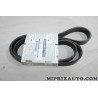 Courroie accessoire 7PK1705 Nissan Infiniti original OEM 11720JG70B 11720-JG70B