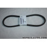 Courroie alternateur Nissan Infiniti original OEM 0211791023 02117-91023