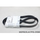 Courroie accessoire 6PK1126 Nissan Infiniti original OEM 1172000Q5F 11720-00Q5F