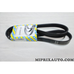Courroie accessoire 6PK1387 SNR Renault Dacia original OEM CA6PK1387 