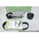 Kit courroie accessoire 6PK805 + galets tendeur + enrouleur Citroen Peugeot Opel Ford Mazda Mini Fiat Volvo original OEM