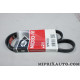 Courroie accessoire Gates Renault Dacia original OEM 5PK1030 