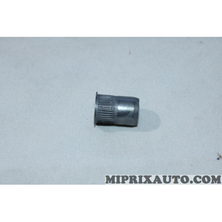 Ecrou fixation de filtre Renault Dacia original OEM 7703043125 