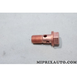 Vis raccord banjo durite Renault Dacia original OEM 151881993R 