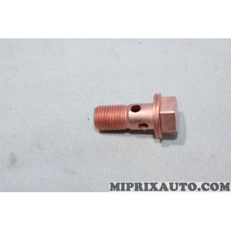 Vis raccord banjo durite Renault Dacia original OEM 151881993R 