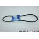Courroie alternateur Hyundai Kia original OEM 2521542082 25215-42082