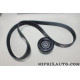 Kit courroie accessoire 7PK1165 + galet Gates Honda Nissan Renault original OEM K017PK1165 