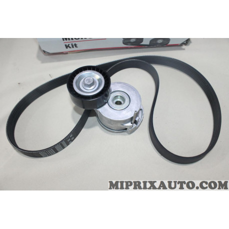 Kit courroie accessoire 6PK1245 + galet tendeur Gates Citroen Peugeot original OEM K036PK1245 
