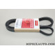 Courroie accessoire 5PK1747 Motrio Hyundai Mercedes original OEM 8660004000 pour hyundai getz mercedes classe A B