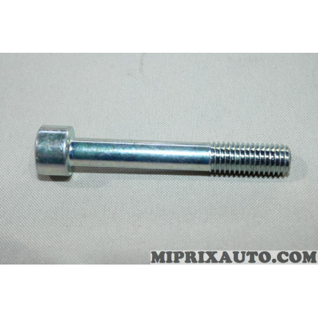 Vis fixation galet tendeur de courroie accessoire Renault Dacia original OEM 2812615900 