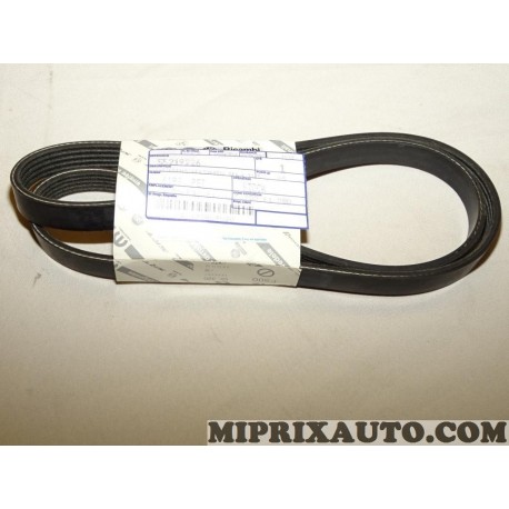 Courroie accessoire 5PK1175 Fiat Alfa Romeo Lancia original OEM 55219226