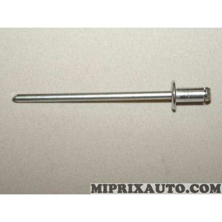 Rivet pop de fixation Citroen Peugeot original OEM 6973A5 