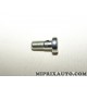 Vis banjo durite tuyau Citroen Peugeot original OEM 037671