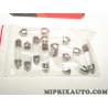 Boite 10 ampoules navette C5W Eurorepar Citroen Peugeot original OEM 1616430780